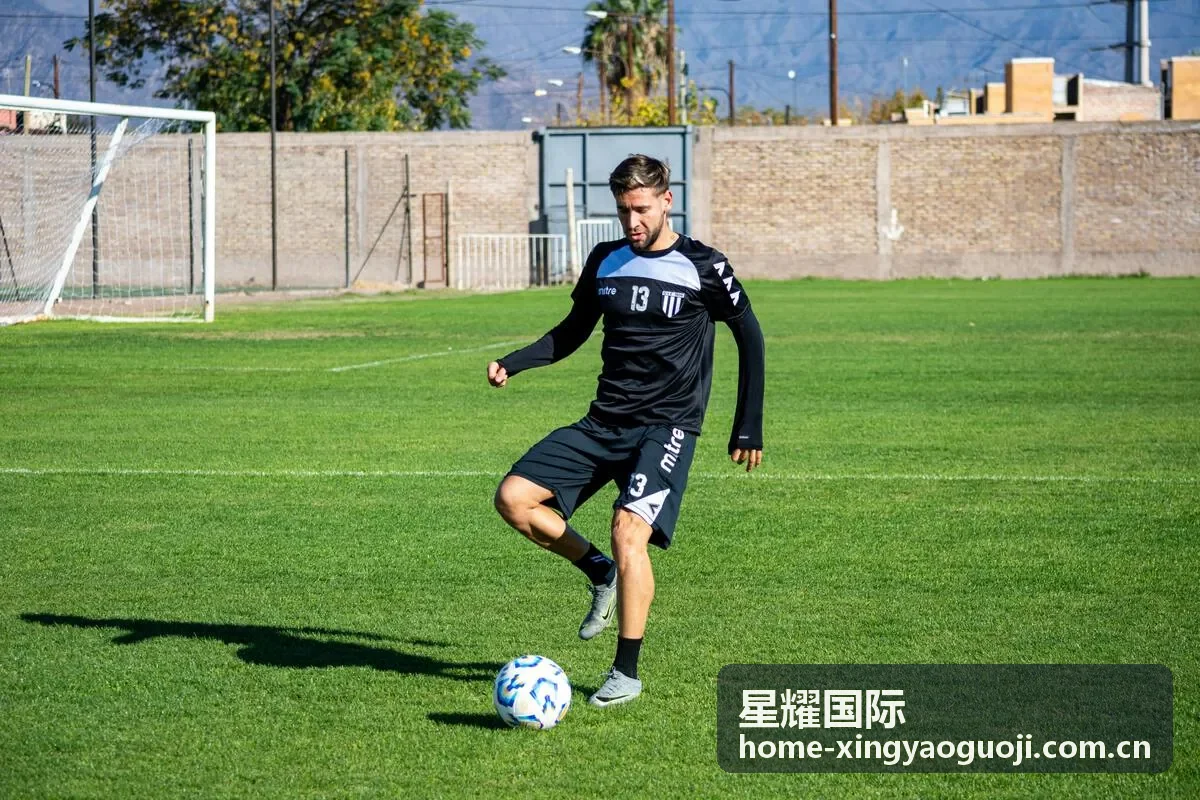 星耀国际对接推进与商务谈判支持